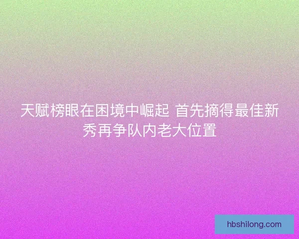 天赋榜眼在困境中崛起 首先摘得最佳新秀再争队内老大位置 天赋榜眼在困境中崛起 首先摘得最佳新秀再争队内老大位置